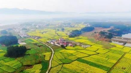 美麗江西“九江樣板”建設看成效 | 修水縣：“綠水青山就是金山銀山”省級實(shí)踐創(chuàng  )新基地