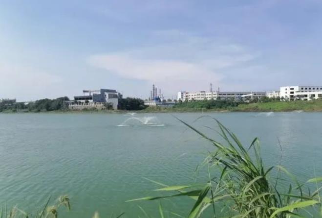 管網(wǎng)差、歷史欠賬多咋辦？九江“政企結合”治理排污口