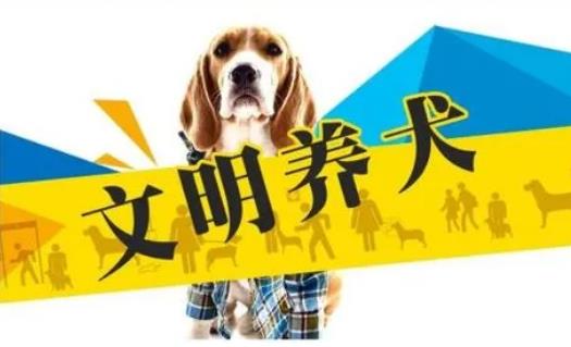 2023年3月1日起施行！《黃石市養犬管理條例》來(lái)了