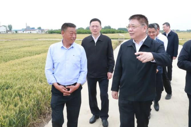 王蒙徽在襄陽(yáng)調研時(shí)強調：更好擔起省域副中心城市重任 為先行區建設貢獻更大力量