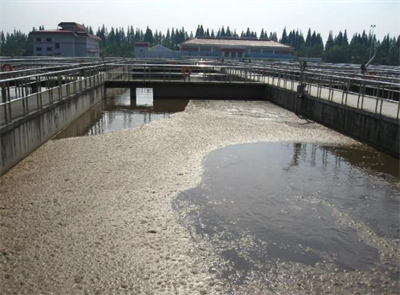 污水廠(chǎng)污泥的水熱法穩定化重力濃縮機械脫水半干法處理技術(shù)